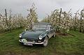 MG Bloesemrit op 24-4-2016 org. Jos&Marie-lou  (282)